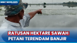 Petani Terancam Gagal...