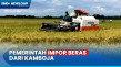 Pemerintah Impor Beras...