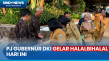 Heru Budi Gelar Halalbihalal...
