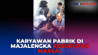 Viral! Puluhan Karyawan...