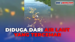 Puluhan Ikan Ditemukan...