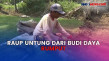 Potensi Cuan dari Budi...