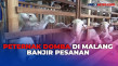 Jelang Idul Adha, Peternak...