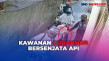 Terekam CCTV, Kawanan...