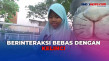 Berwisata ke Taman Kelinci...