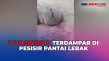 Warga Terpaksa Bakar...