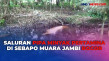 Saluran Pipa Minyak...