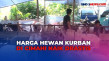 Harga Hewan Kurban di...