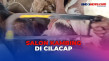 Pedagang Percantik Tampilan...