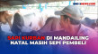 Harga Sapi di Mandailing...