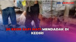 Puluhan Ekor Sapi Mati...
