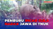 Terancam Punah, 26 Badak...
