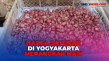Harga Sayuran di Yogyakarta...