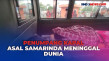 Penumpang Kapal Asal...