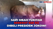 Sapi Simmental Mbah...