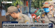 Puluhan Bangunan Liar...