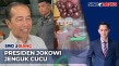 Jokowi Jenguk Cucu Keenam...