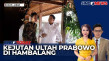 Calon Wakil Menteri...