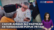 Pilkada Sulteng 2024,...