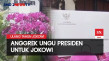 Ulang Tahun, Jokowi...