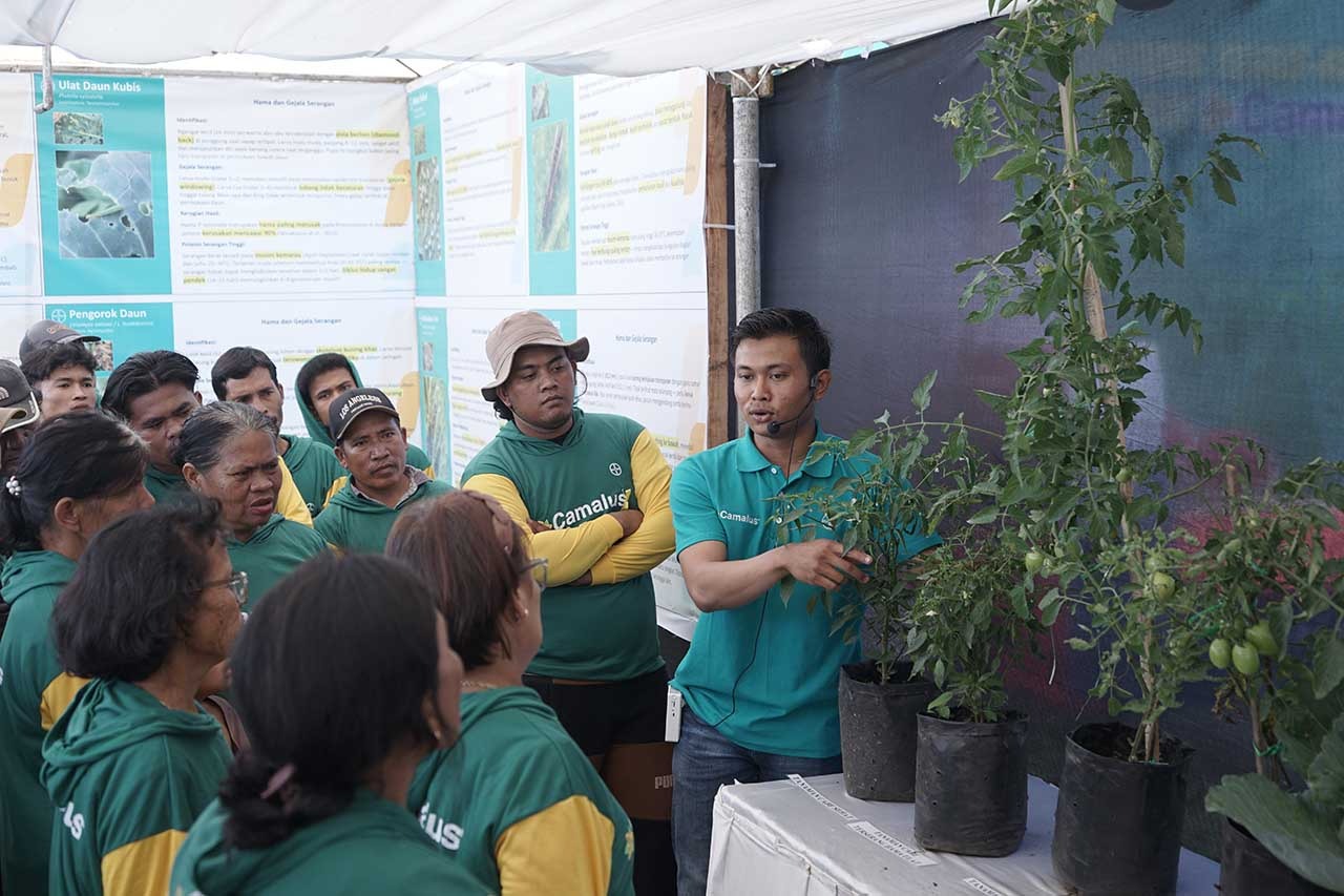 FOTO: Teknologi Perlindungan Tanaman Bermekanisme Ganda Diperkenalkan kepada Petani