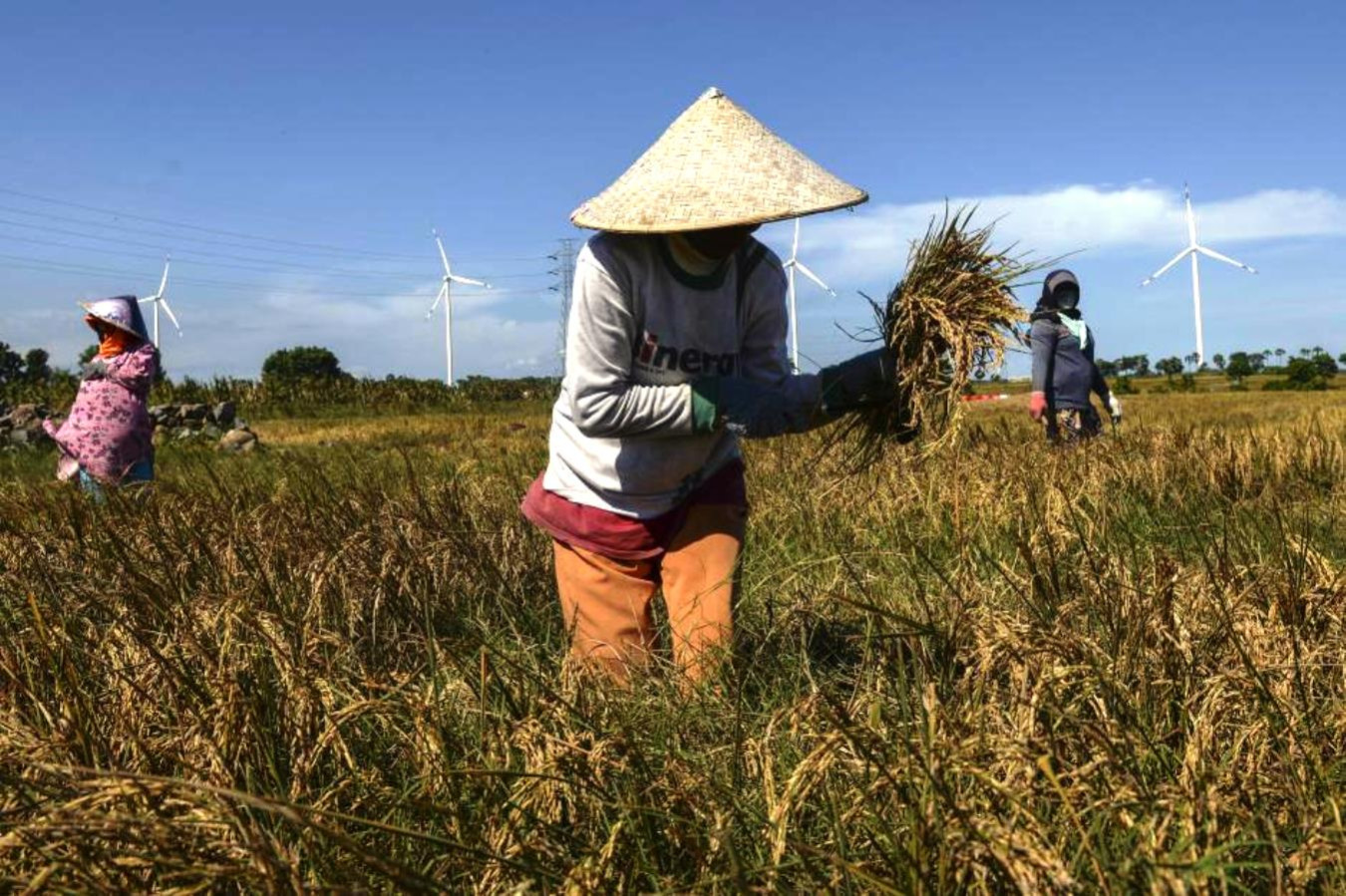 Transisi Energi demi Masa Depan Anak Negeri