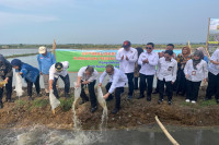 Program Ketahanan Pangan,...