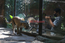 Wisata Jatim Park Dibuka...