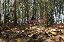 Ratusan Bikers Ramaikan...