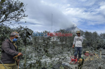 Pasca Erupsi Sinabung,...