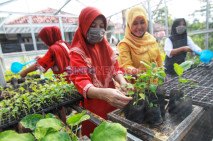 Peran Kelompok Wanita...