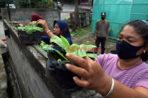 Warga Bambankerep Semarang...