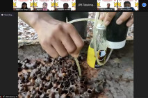 Jelajah Virtual UMKM,...