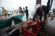 Gelombang Laut Tinggi,...
