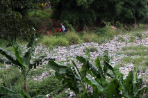 Lautan Sampah di Kampung...