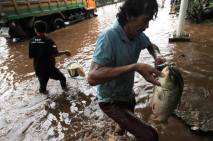 Warga Asik Menjala Ikan...