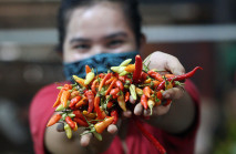Harga Cabai di Pasar...