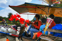 Delman Hias di Monas...