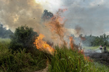 10 Hektar Lahan di Pekanbaru...