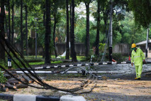 Pohon dan Tiang Listrik...