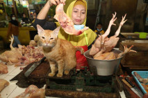 Minggu Pertama Ramadhan,...