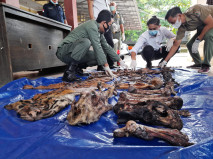 Miris, Kulit dan Tulang...