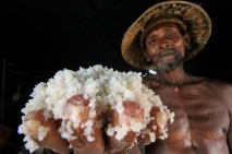 Harga Garam Petani tradisional...