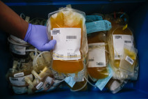 Permintaan Plasma Darah...