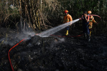 Kebakaran Lahan di Madiun