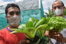 Budidaya Urban Farming...
