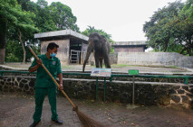 Taman Margasatwa Ragunan...