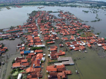 Banjir Rob Rendam Ratusan...