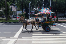 Wisata Delman Keliling...
