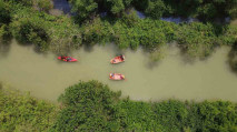 Edu-ekowisata Mangrove...